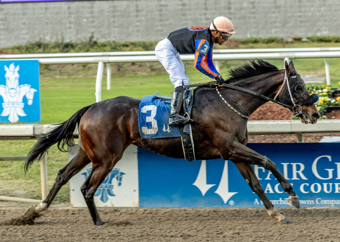 Download app from appStore