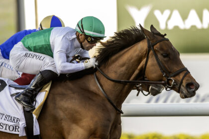 Download app from appStore