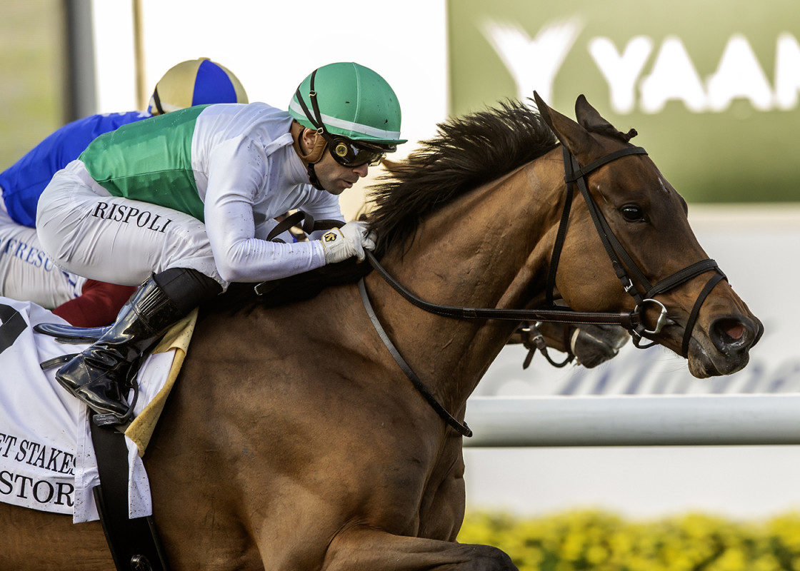 Download app from appStore