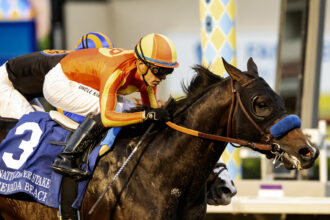 Download app from appStore