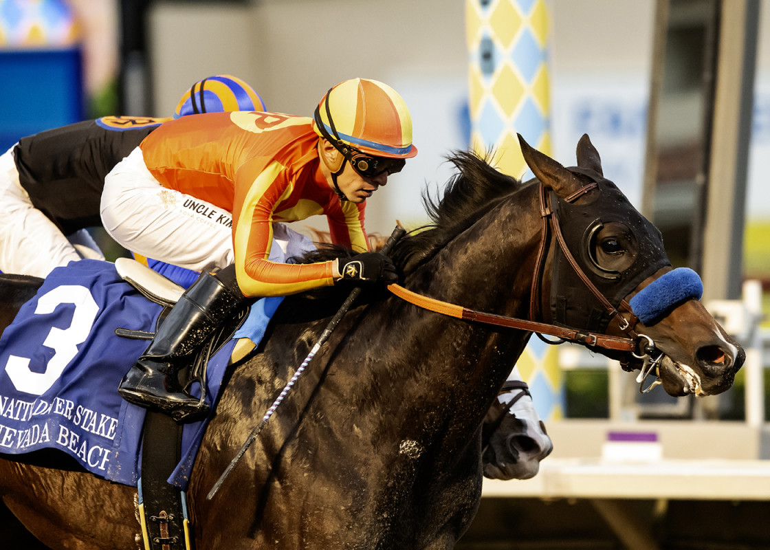 Download app from appStore