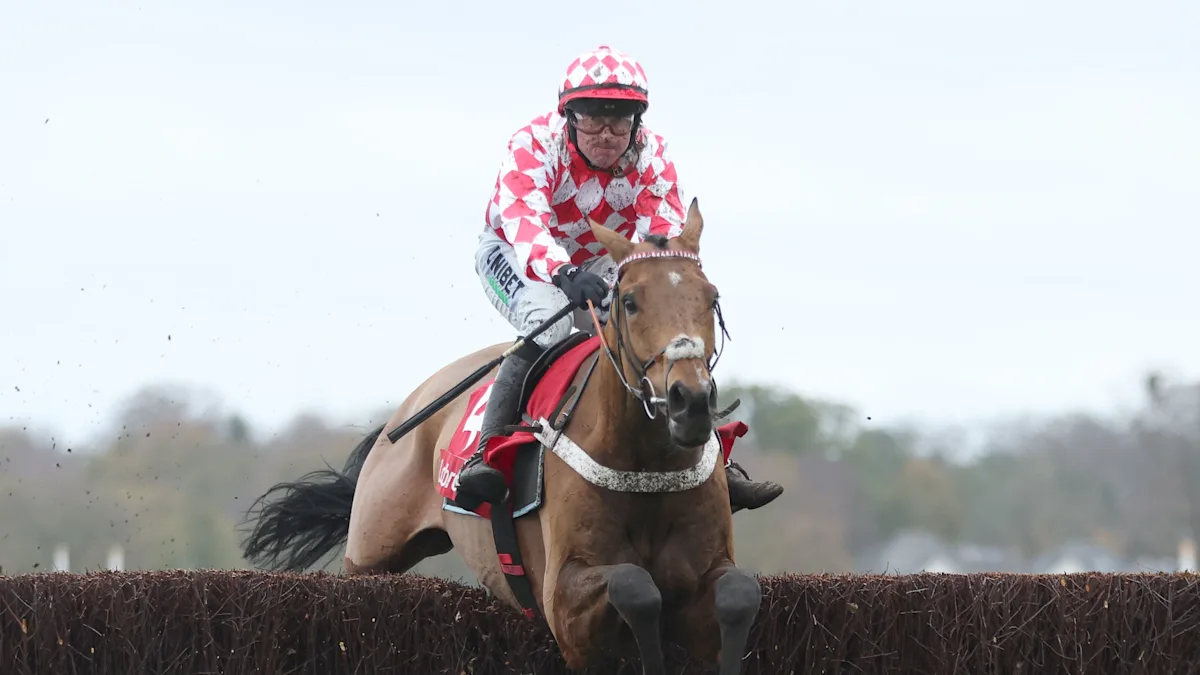 Download app from appStore