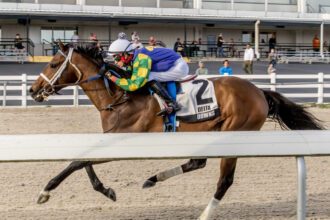 Download app from appStore