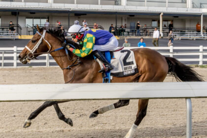 Download app from appStore