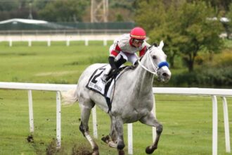 Download app from appStore