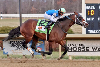 Download app from appStore