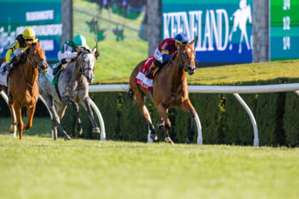 Download app from appStore