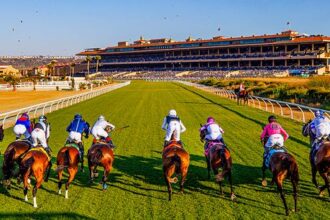 Download app from appStore