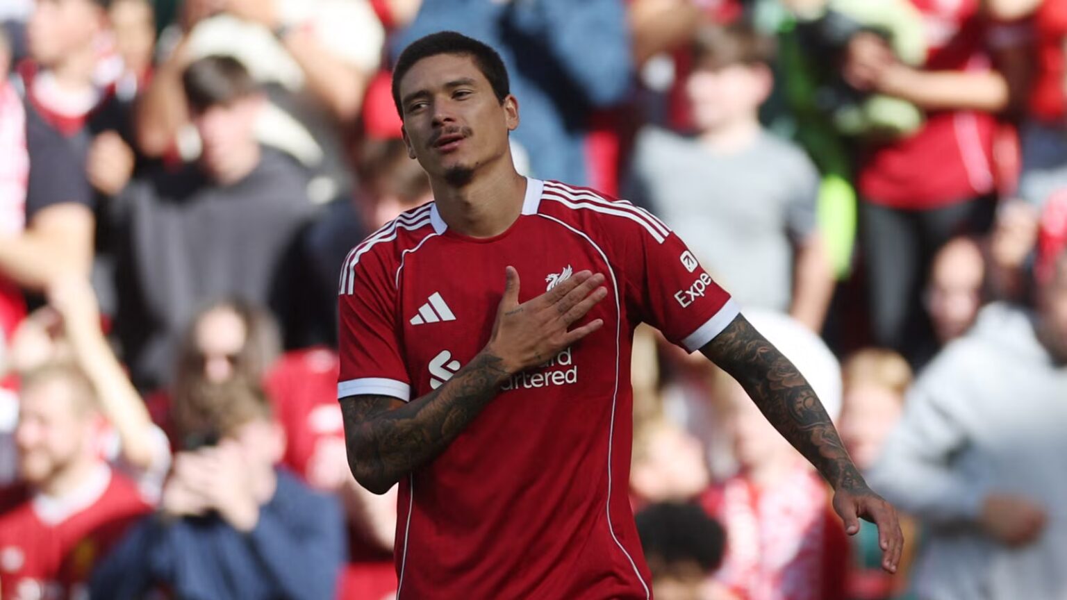 Slotter Luis Suarez currently has 'no offer for Liverpool over Nunez'