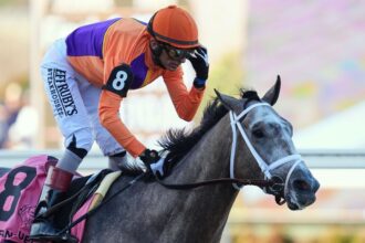 Ted Nophy wins Breeders' Cup Juvenile for Todd Pletcher