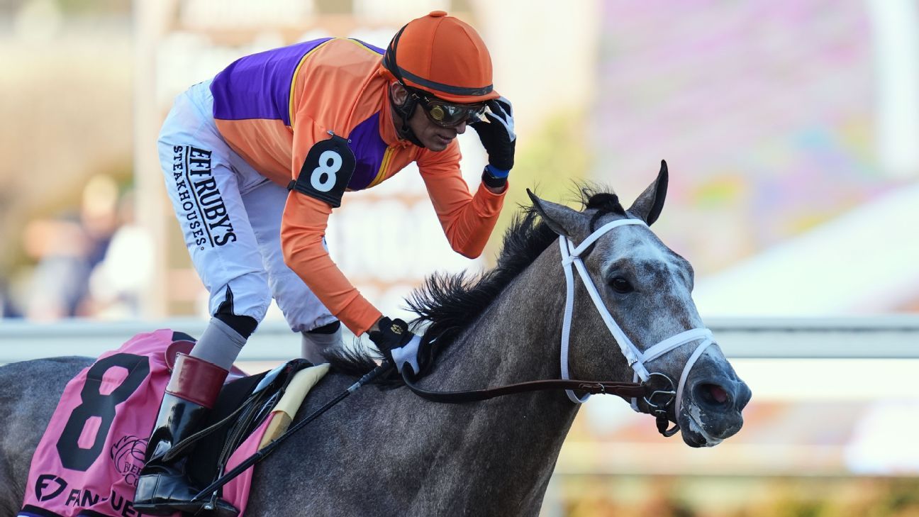 Ted Nophy wins Breeders' Cup Juvenile for Todd Pletcher