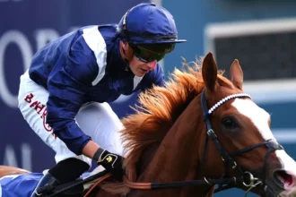 Download app from appStore