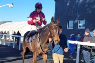 Download app from appStore