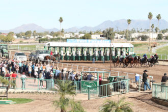 Download app from appStore