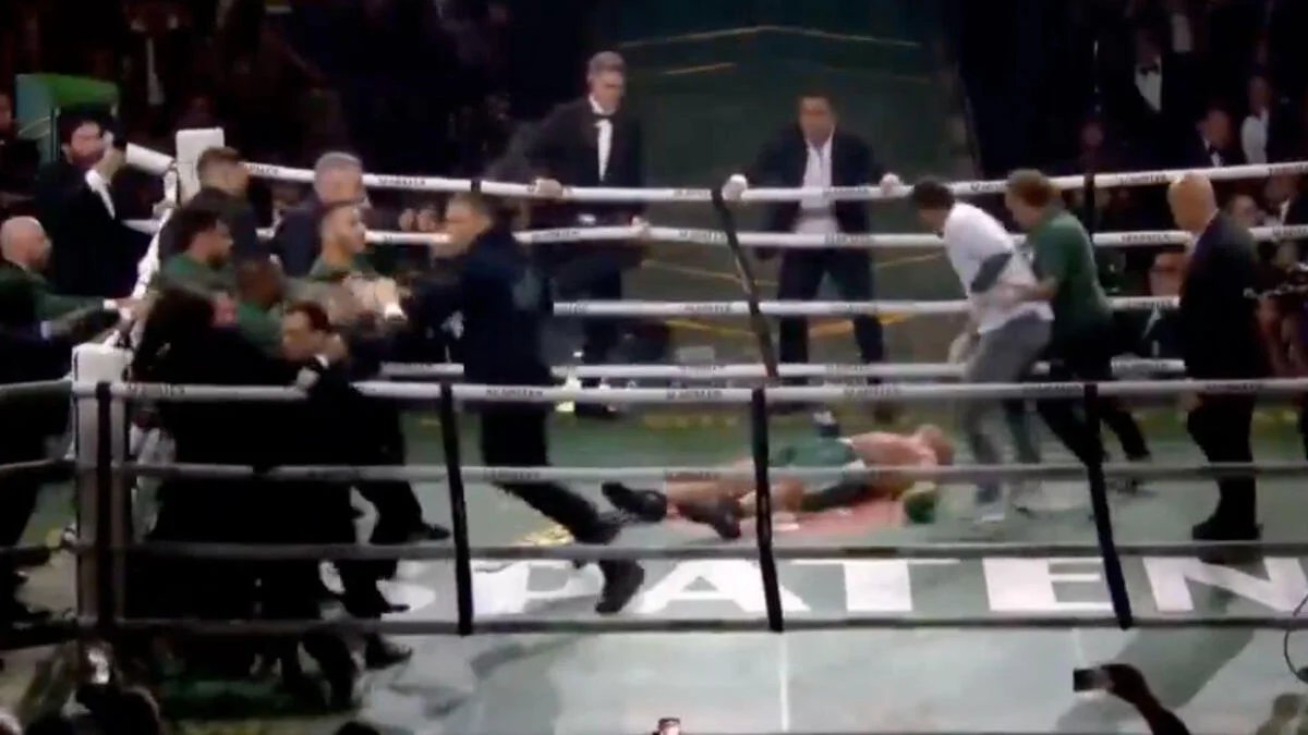 UFC Hall of Famer Wanderlei Silva loses call in violent brawl after exhibition boxing match