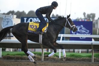 Betting on the Breeders' Cup Classic: Odds and play for a wide open field now