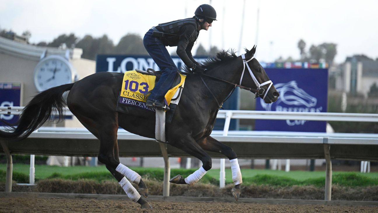 Betting on the Breeders' Cup Classic: Odds and play for a wide open field now