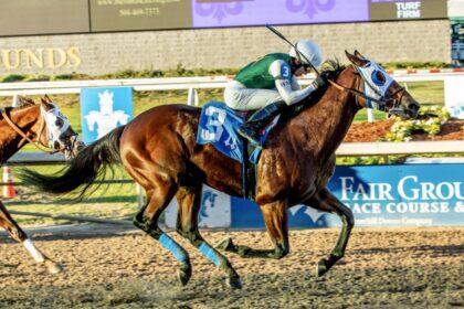 Download app from appStore