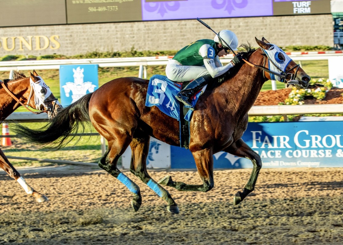 Download app from appStore