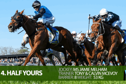 2025 Melbourne Cup Field - Complete Guide - Jockeys, Trainers, Predictions, Odds, Form