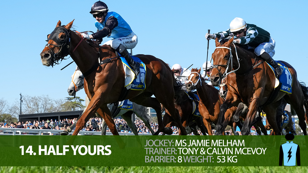 2025 Melbourne Cup Field - Complete Guide - Jockeys, Trainers, Predictions, Odds, Form