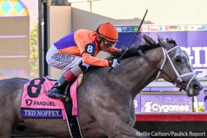 Download app from appStore