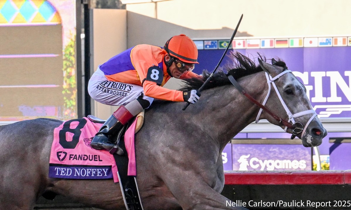 Download app from appStore