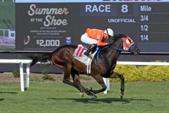 Download app from appStore