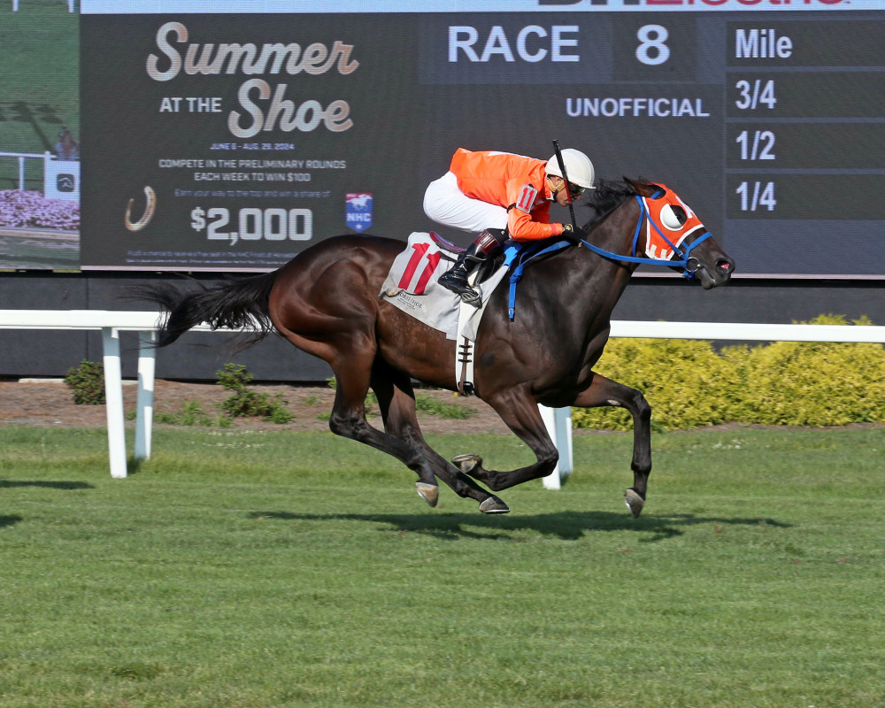 Download app from appStore