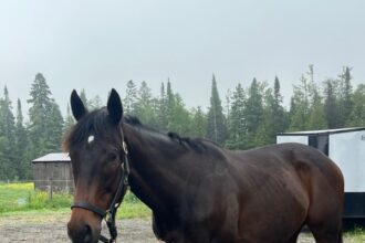 Yahoo lifestyle home