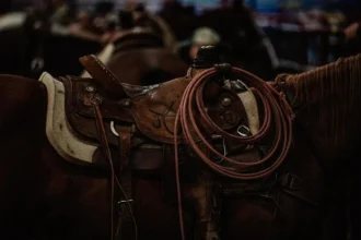 Yahoo lifestyle home