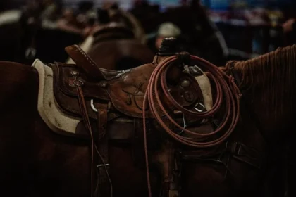 Yahoo lifestyle home