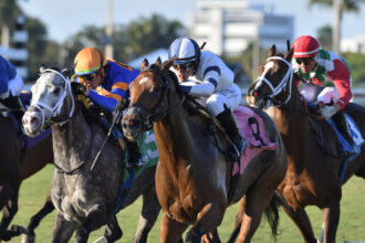 Download app from appStore