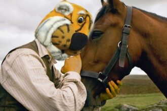 Download app from appStore