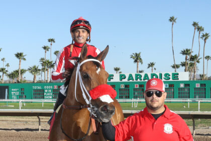 Download app from appStore