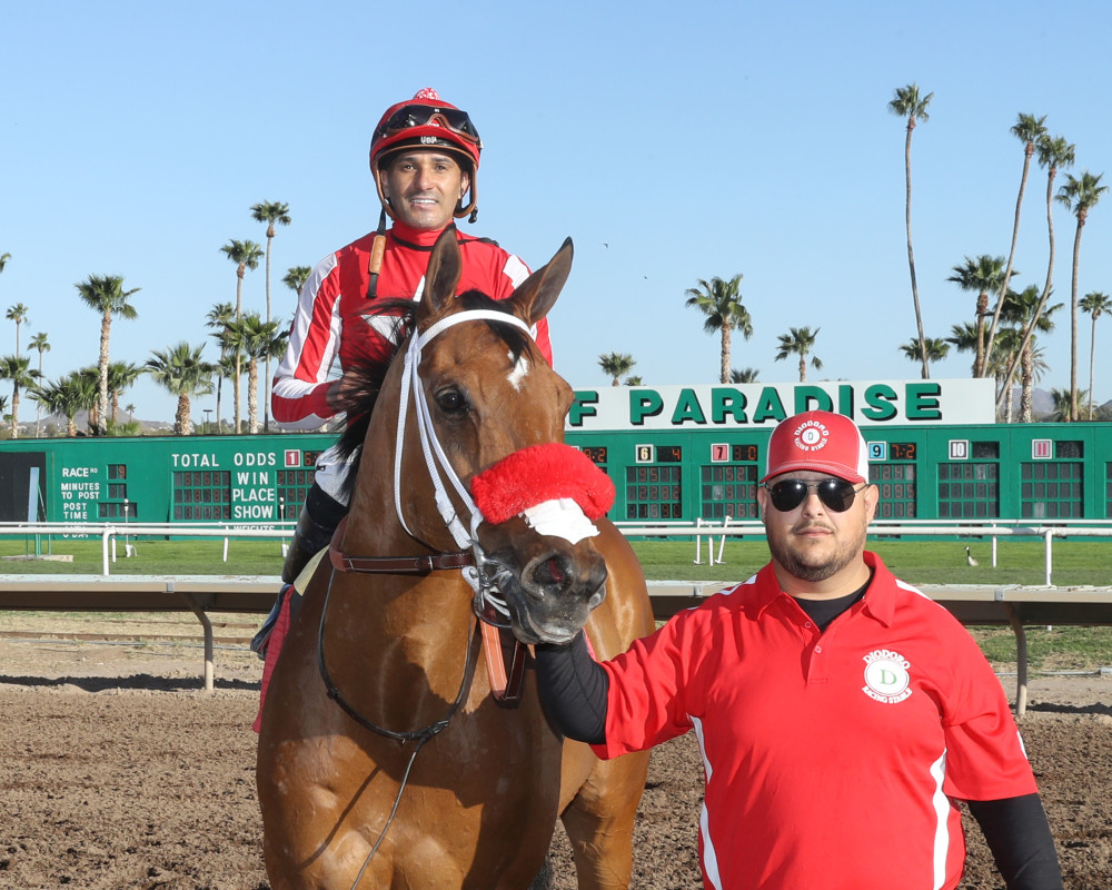 Download app from appStore