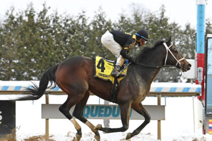 Download app from appStore