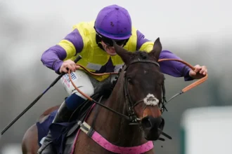 Download app from appStore