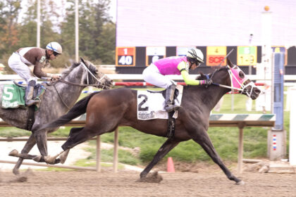 Download app from appStore