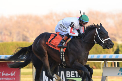 Download app from appStore