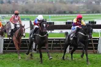 Download app from appStore