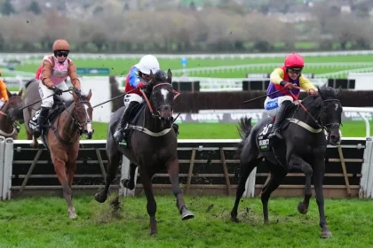 Download app from appStore