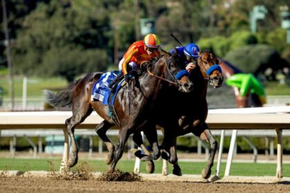 Download app from appStore