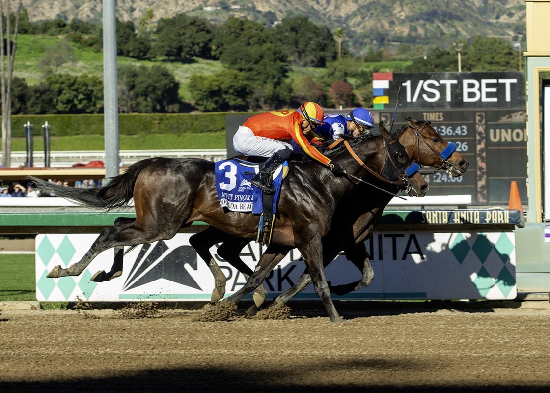 Download app from appStore