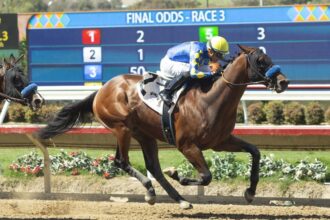 Download app from appStore