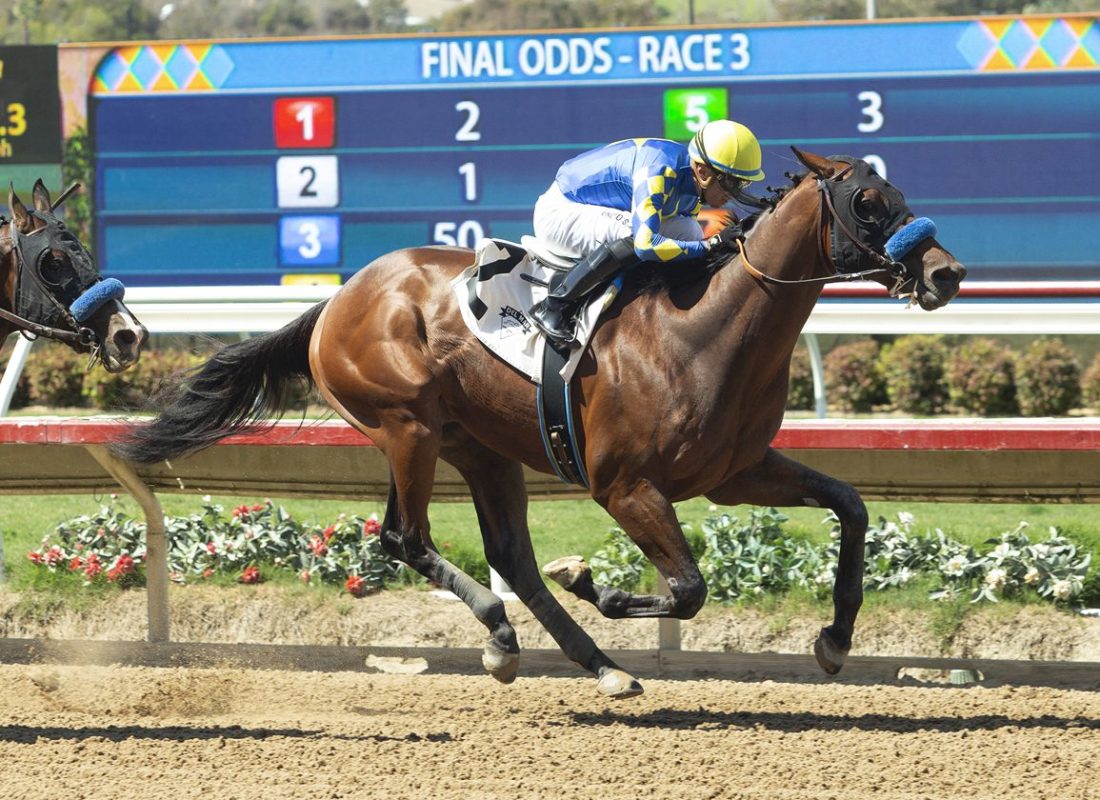 Download app from appStore