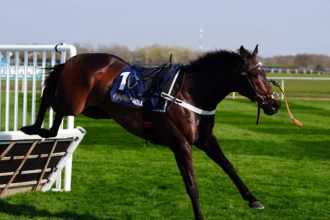 Download app from appStore