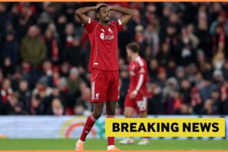 Arne Slott says Newcastle star is the main reason Alexander Isak is struggling at Liverpool