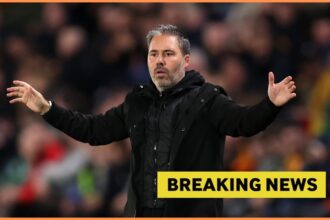 Leicester's chosen candidate to replace Marti Cifuentes revealed