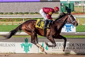 Download app from appStore